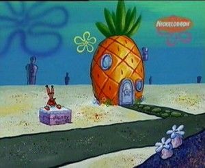 spongya_h..jpg